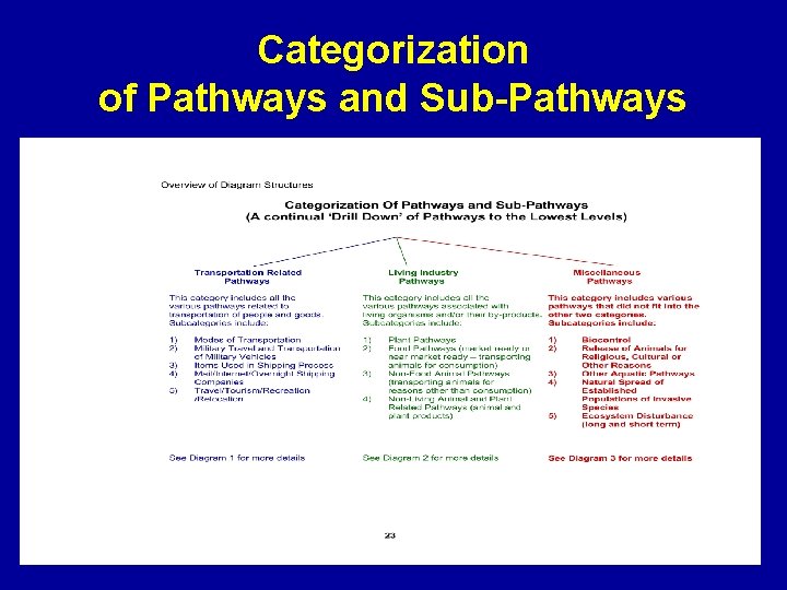 Categorization of Pathways and Sub-Pathways 