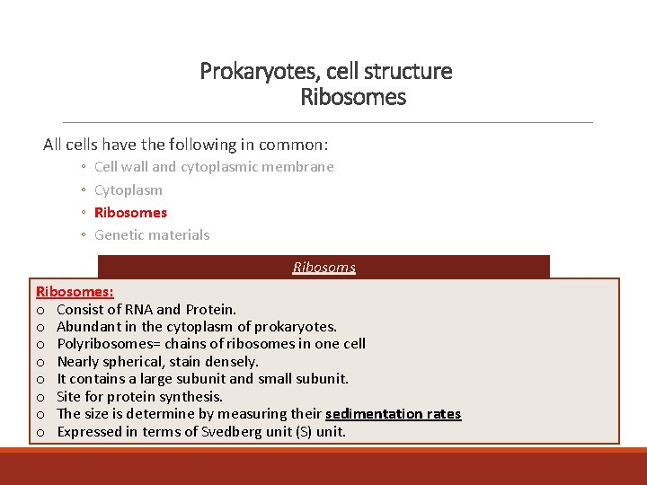 Prokaryotes, cell structure Ribosomes All cells have the following in common: ◦ ◦ Cell