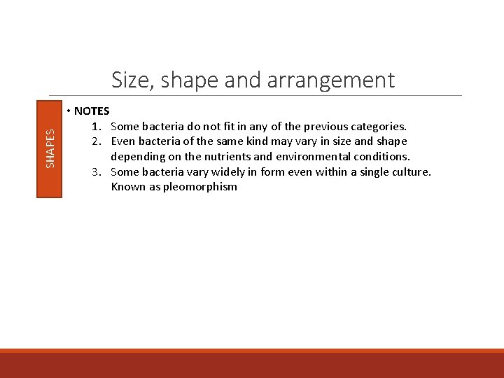 SHAPES Size, shape and arrangement • NOTES 1. Some bacteria do not fit in