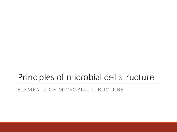 Principles of microbial cell structure ELEMENTS OF MICROBIAL STRUCTURE 