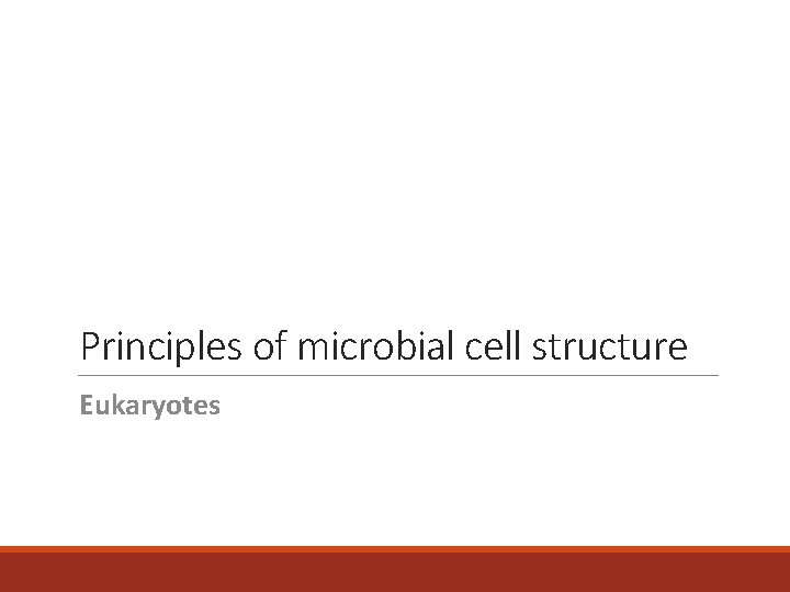 Principles of microbial cell structure Eukaryotes 