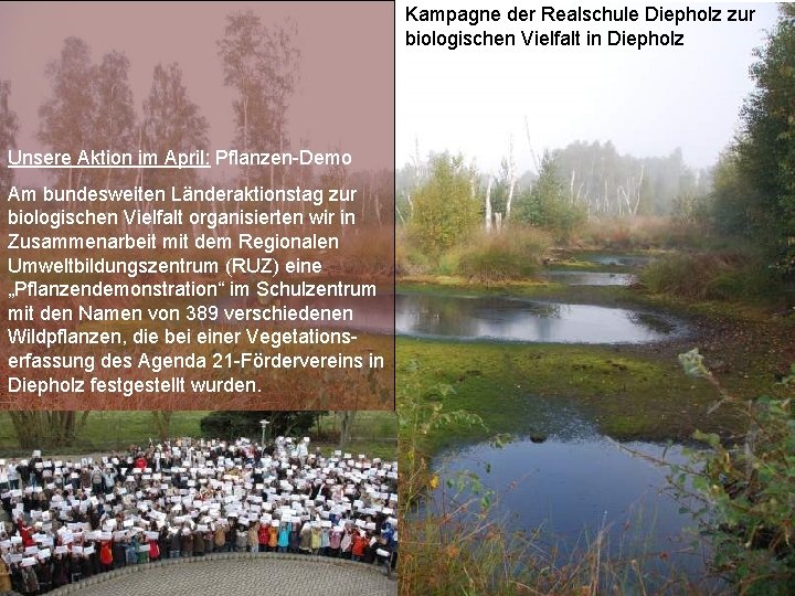 Kampagne der Realschule Diepholz zur biologischen Vielfalt in Diepholz Unsere Aktion im April: Pflanzen-Demo