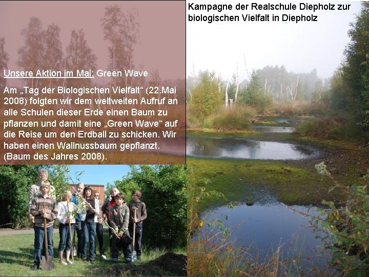 Kampagne der Realschule Diepholz zur biologischen Vielfalt in Diepholz Unsere Aktion im Mai: Green