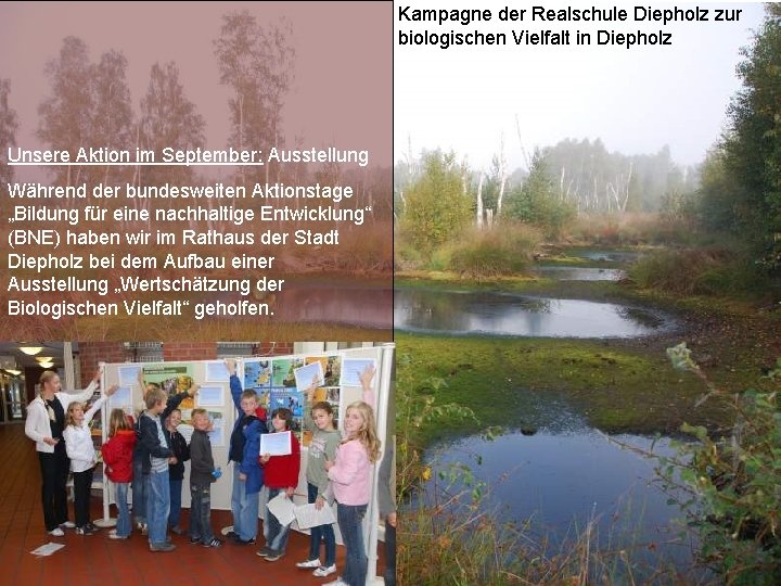 Kampagne der Realschule Diepholz zur biologischen Vielfalt in Diepholz Unsere Aktion im September: Ausstellung