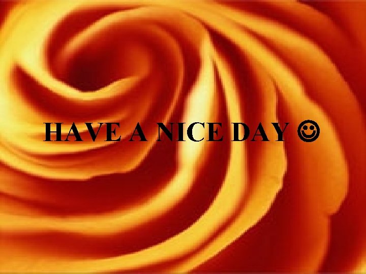 HAVE A NICE DAY 