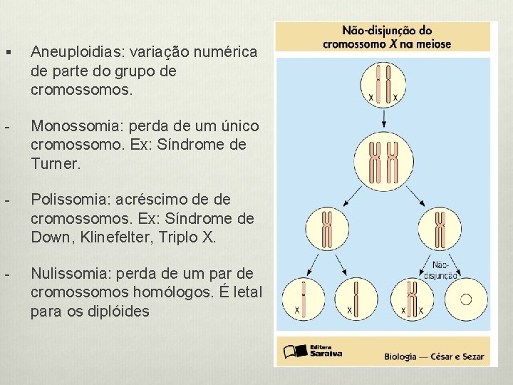 § Aneuploidias: variação numérica de parte do grupo de cromossomos. - Monossomia: perda de