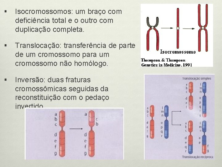 § Isocromossomos: um braço com deficiência total e o outro com duplicação completa. §