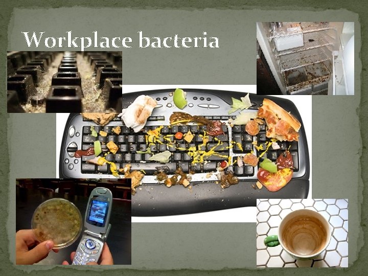 Workplace bacteria 