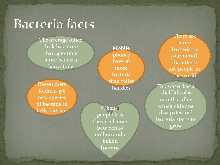 Bacteria facts The average office desk has more than 400 time more bacteria than