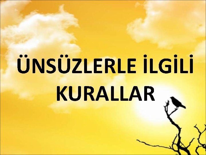 ÜNSÜZLERLE İLGİLİ KURALLAR 