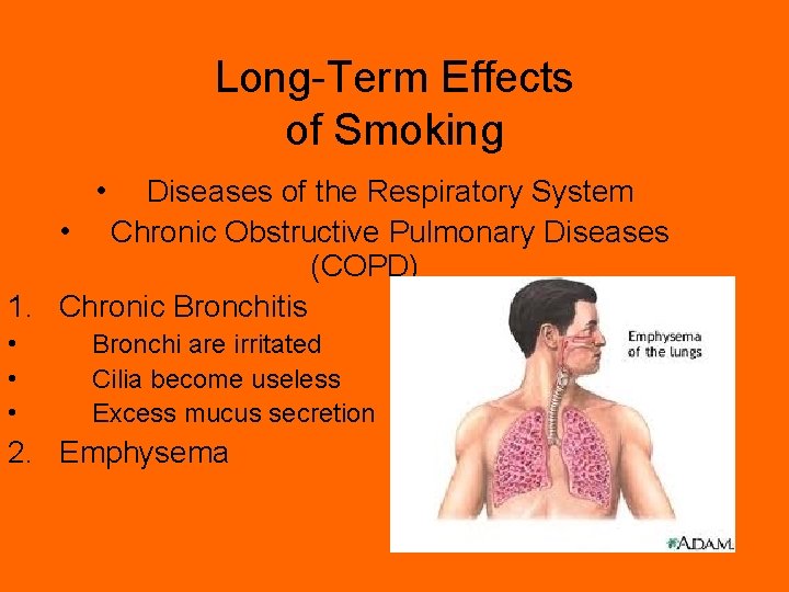 Long-Term Effects of Smoking • Diseases of the Respiratory System • Chronic Obstructive Pulmonary