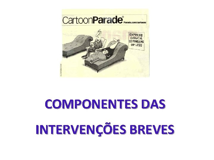 COMPONENTES DAS INTERVENÇÕES BREVES 