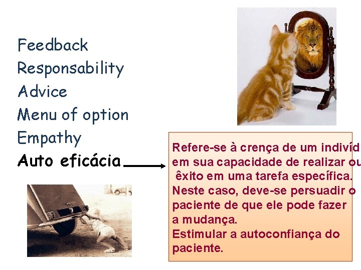 Feedback Responsability Advice Menu of option Empathy Auto eficácia Refere-se à crença de um