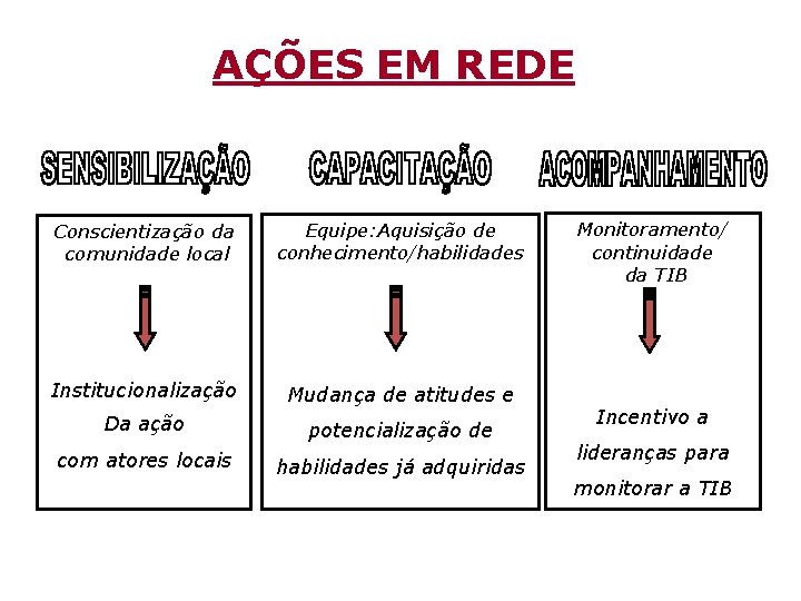 AÇÕES EM REDE Conscientização da comunidade local Equipe: Aquisição de conhecimento/habilidades Institucionalização Mudança de