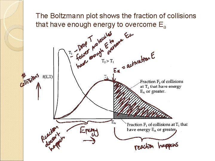 The Boltzmann plot shows the fraction of collisions that have enough energy to overcome
