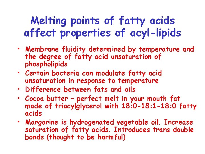 Melting points of fatty acids affect properties of acyl-lipids • Membrane fluidity determined by