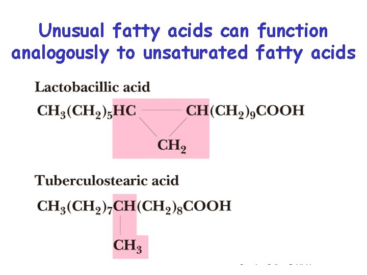 Unusual fatty acids can function analogously to unsaturated fatty acids 