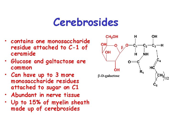 Cerebrosides • contains one monosaccharide residue attached to C-1 of ceramide • Glucose and