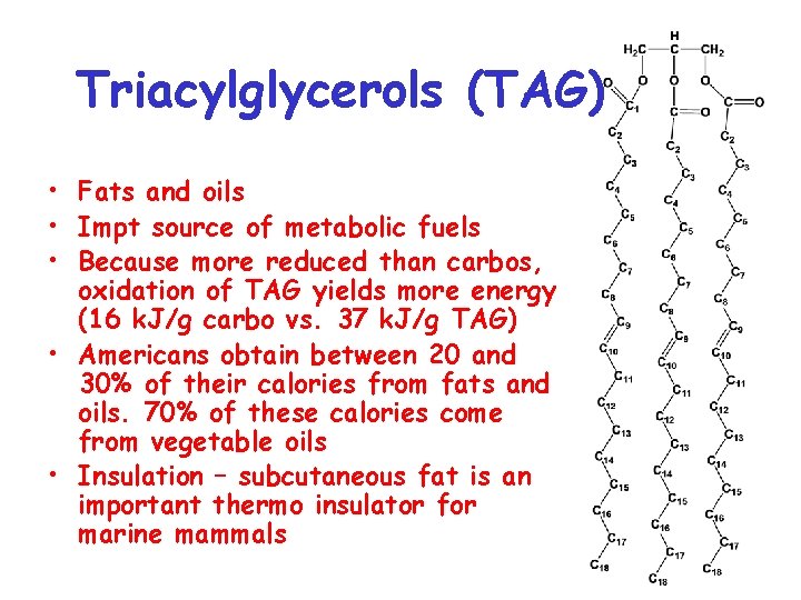 Triacylglycerols (TAG) • Fats and oils • Impt source of metabolic fuels • Because