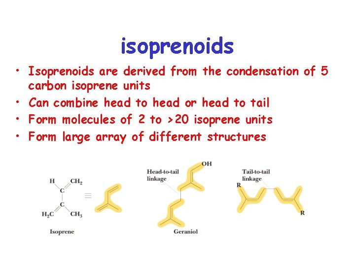 isoprenoids • Isoprenoids are derived from the condensation of 5 carbon isoprene units •