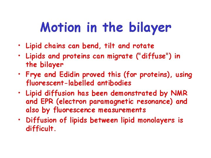 Motion in the bilayer • Lipid chains can bend, tilt and rotate • Lipids