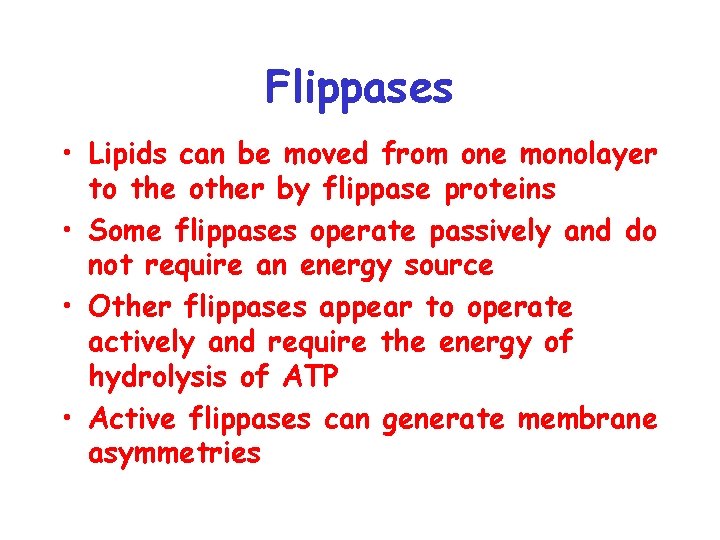 Flippases • Lipids can be moved from one monolayer to the other by flippase