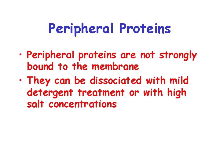 Peripheral Proteins • Peripheral proteins are not strongly bound to the membrane • They