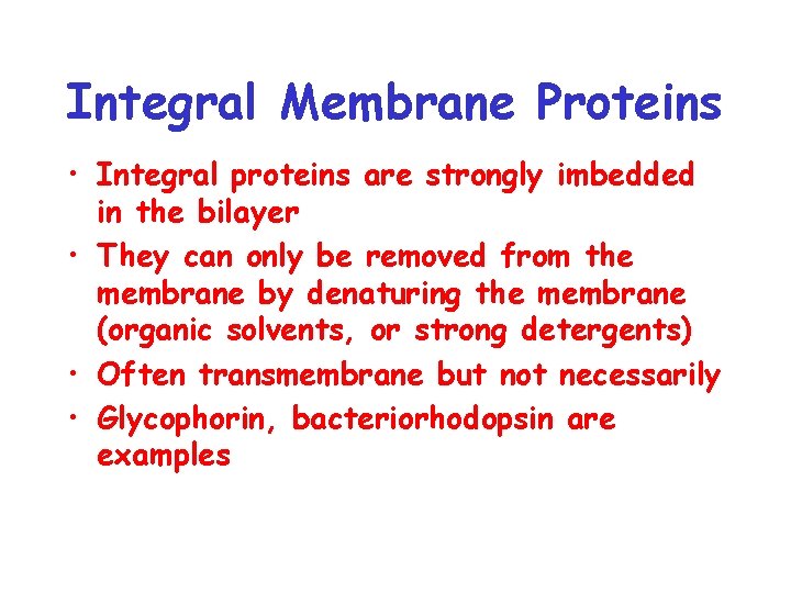 Integral Membrane Proteins • Integral proteins are strongly imbedded in the bilayer • They