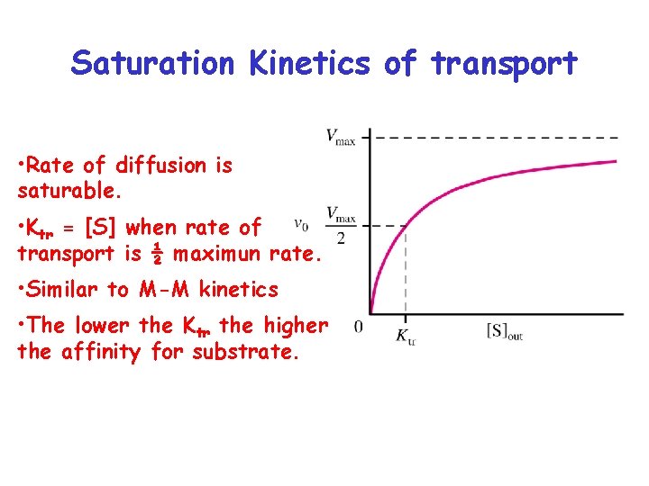 Saturation Kinetics of transport • Rate of diffusion is saturable. • Ktr = [S]