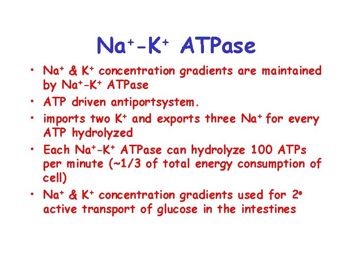 + + Na -K ATPase • Na+ & K+ concentration gradients are maintained by