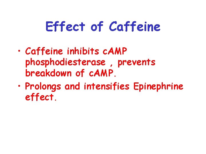 Effect of Caffeine • Caffeine inhibits c. AMP phosphodiesterase , prevents breakdown of c.