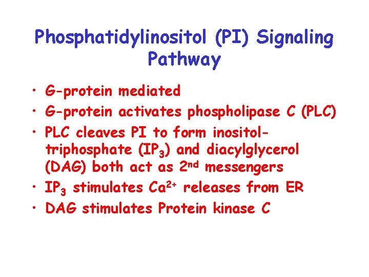 Phosphatidylinositol (PI) Signaling Pathway • G-protein mediated • G-protein activates phospholipase C (PLC) •