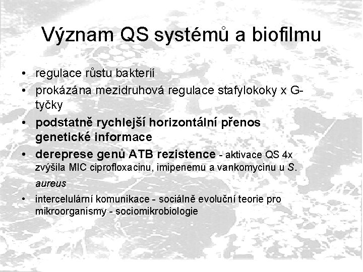 Význam QS systémů a biofilmu • regulace růstu bakterií • prokázána mezidruhová regulace stafylokoky