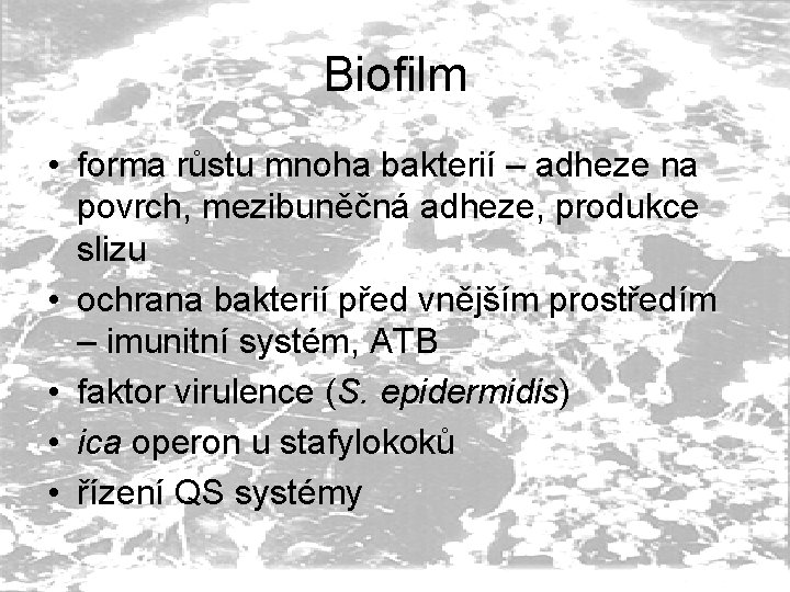 Biofilm • forma růstu mnoha bakterií – adheze na povrch, mezibuněčná adheze, produkce slizu