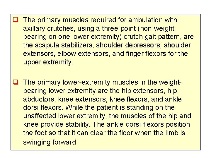 q The primary muscles required for ambulation with axillary crutches, using a three-point (non-weight
