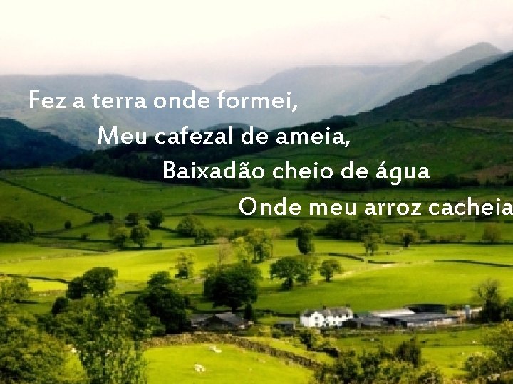 Fez a terra onde formei, Meu cafezal de ameia, Baixadão cheio de água Onde