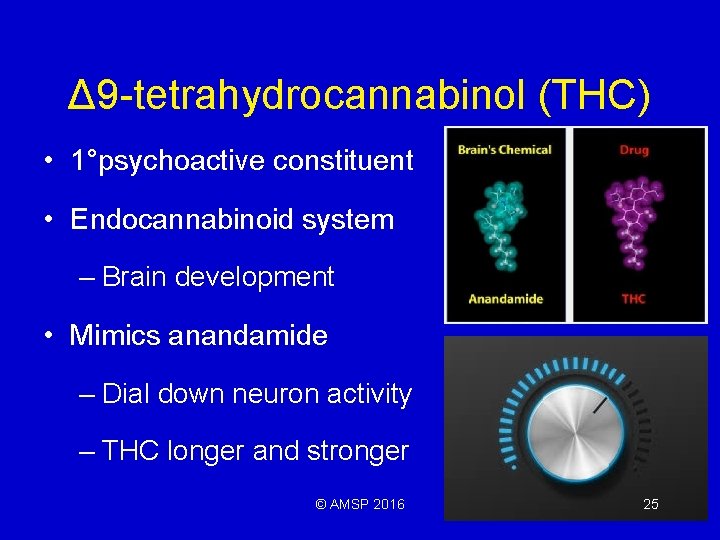 Δ 9 -tetrahydrocannabinol (THC) • 1°psychoactive constituent • Endocannabinoid system – Brain development •