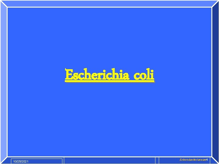 Escherichia coli 10/25/2021 Enterobacteriaceae 4 