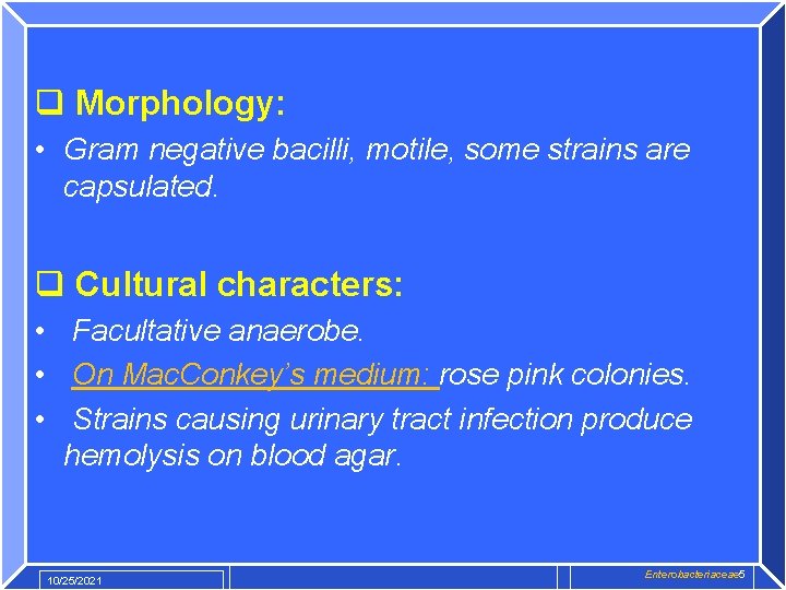 q Morphology: • Gram negative bacilli, motile, some strains are capsulated. q Cultural characters:
