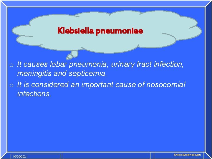 Klebsiella pneumoniae o It causes lobar pneumonia, urinary tract infection, meningitis and septicemia. o