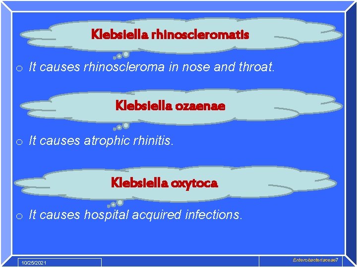 Klebsiella rhinoscleromatis o It causes rhinoscleroma in nose and throat. Klebsiella ozaenae o It