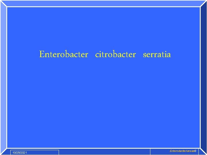 Enterobacter citrobacter serratia 10/25/2021 Enterobacteriaceae 8 