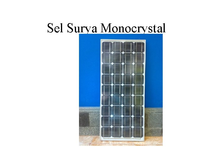 Sel Surya Monocrystal 