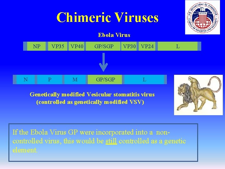 Chimeric Viruses Ebola Virus NP N VP 35 P VP 40 M GP/SGP G