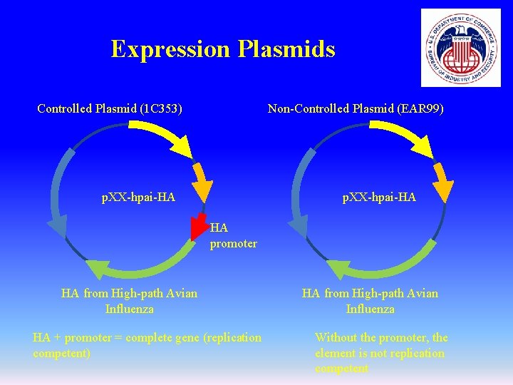 Expression Plasmids Controlled Plasmid (1 C 353) Non-Controlled Plasmid (EAR 99) p. XX-hpai-HA HA