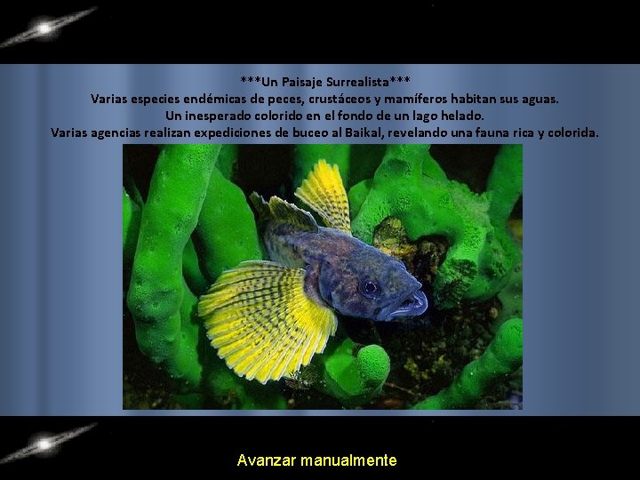 ***Un Paisaje Surrealista*** Varias especies endémicas de peces, crustáceos y mamíferos habitan sus aguas.
