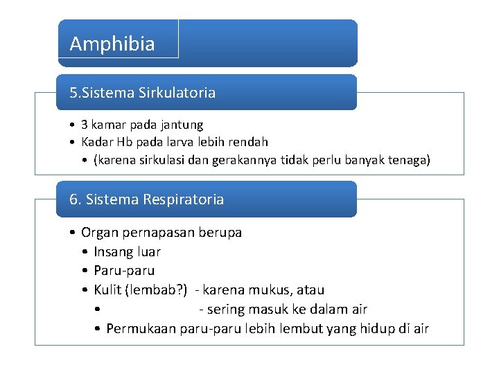 Amphibia 5. Sistema Sirkulatoria • 3 kamar pada jantung • Kadar Hb pada larva