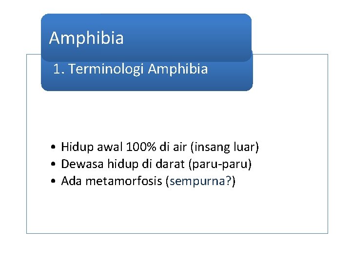 Amphibia 1. Terminologi Amphibia • Hidup awal 100% di air (insang luar) • Dewasa