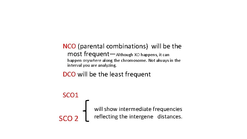 NCO (parental combinations) will be the most frequent—Although XO happens, it can happen anywhere