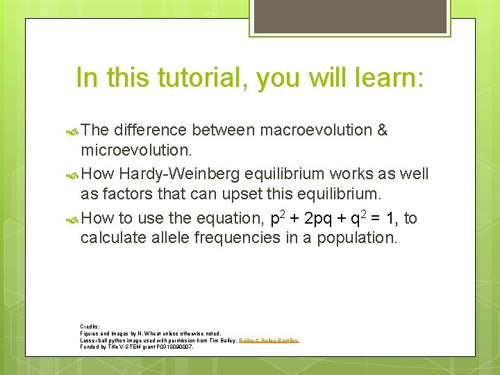 In this tutorial, you will learn: The difference between macroevolution & microevolution. How Hardy-Weinberg